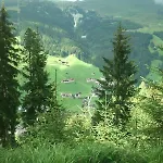 Jagdhof Pure Mountain Apartamento Tux