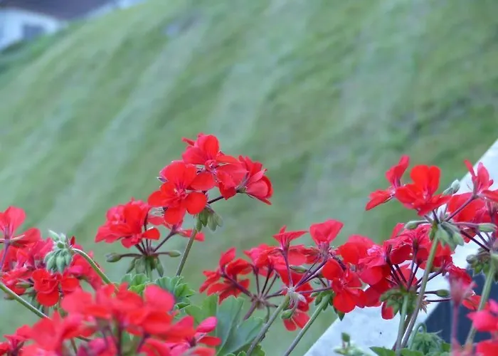 Jagdhof Pure Mountain Hotel 4*